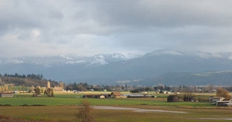 beer skagit valley