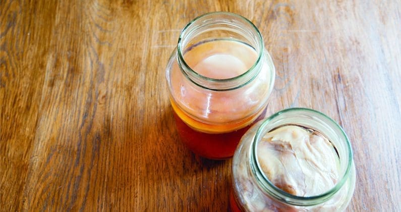 kombucha