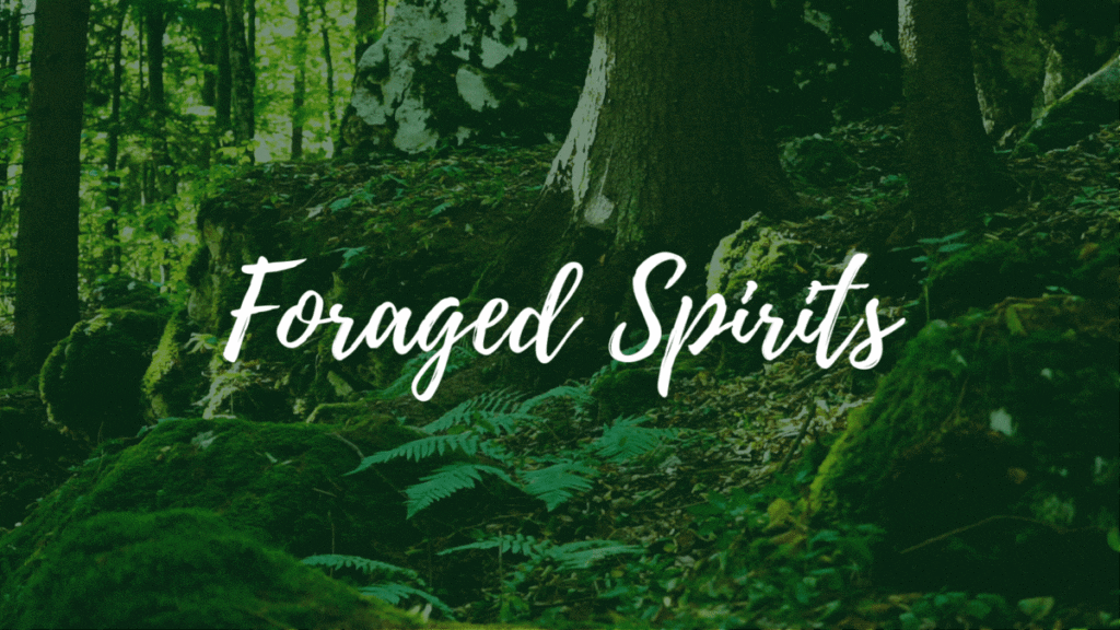 Foraged Spirits