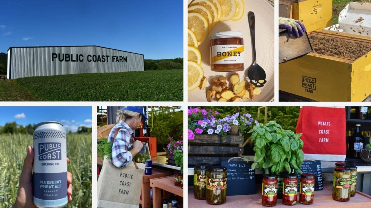 Public Coast Farm’s Festive Summer Farmstand Opens for 2024 Season