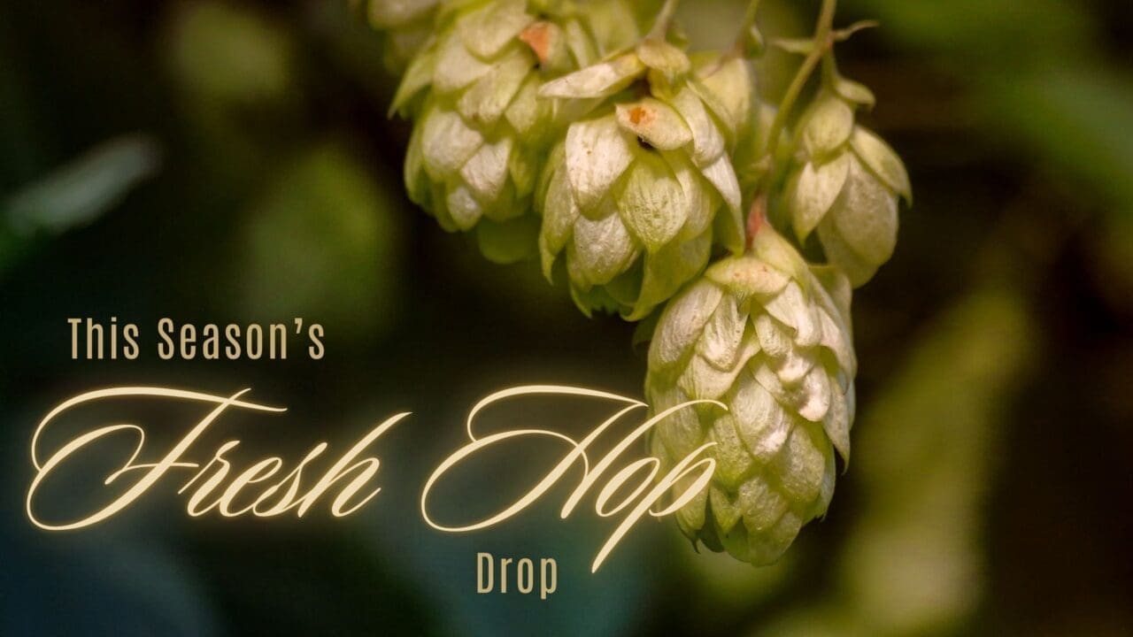 Chasing Freshies: Fresh Hop Beers to Sip This Season