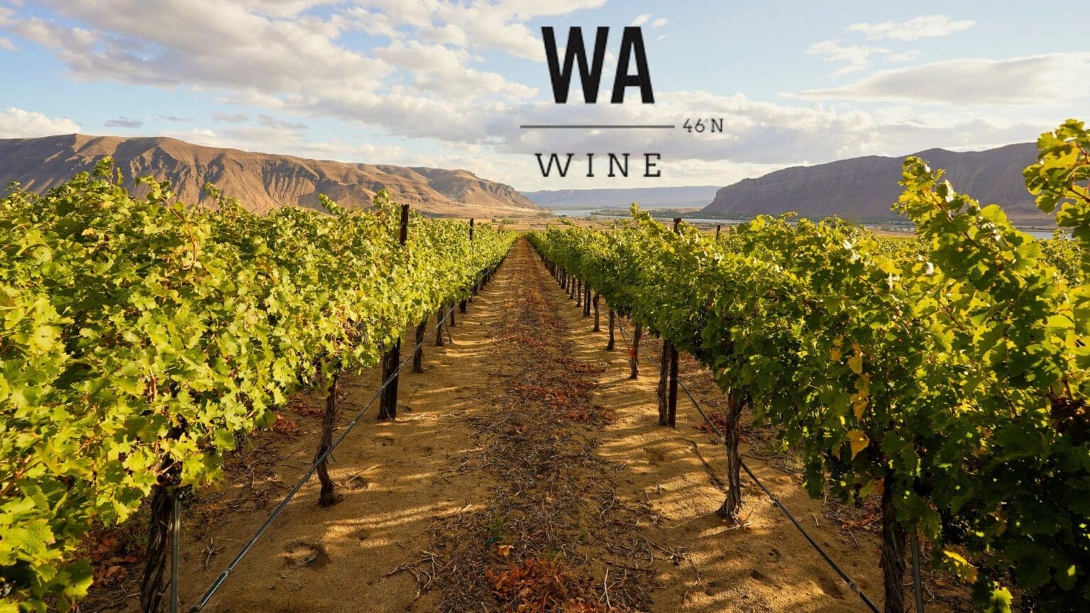 Washington Welcomes 21st American Viticultural Area